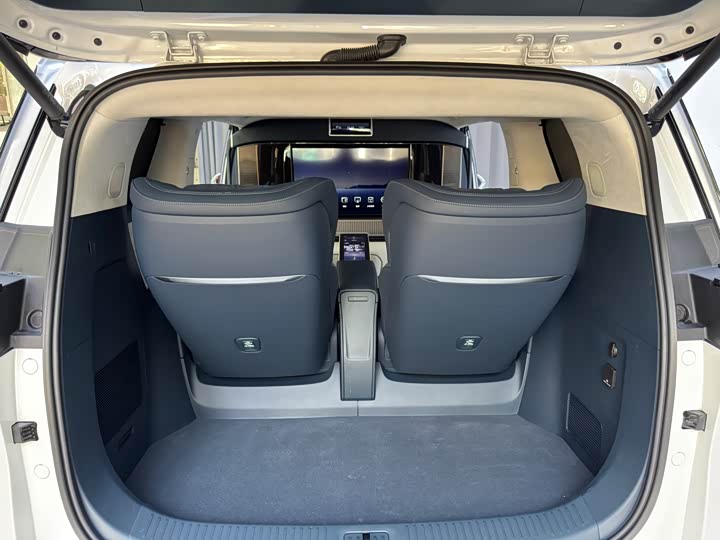 Фото 20 - Buick GL8 Century