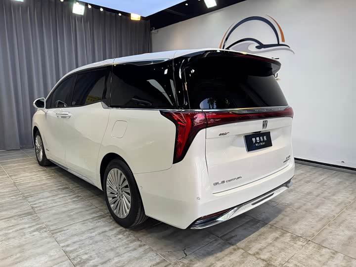 Фото 5 - Buick GL8 Century