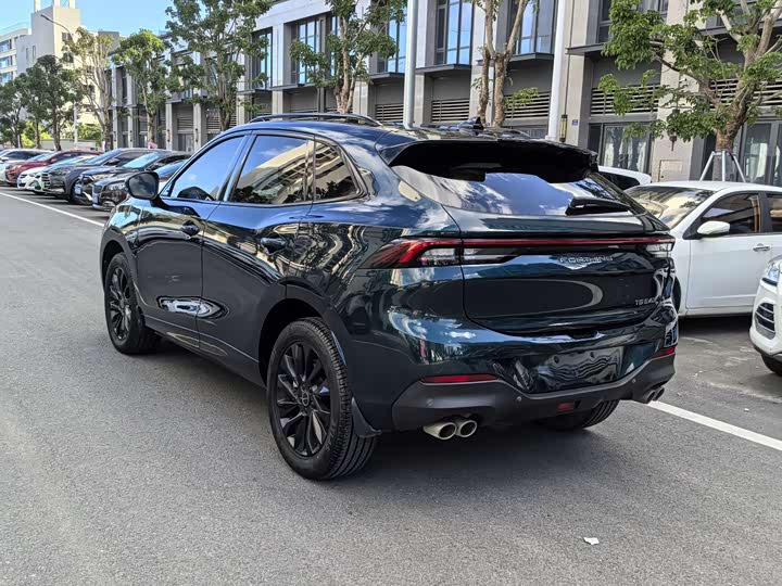 Фото 10 - Dongfeng Forthing T5 EVO