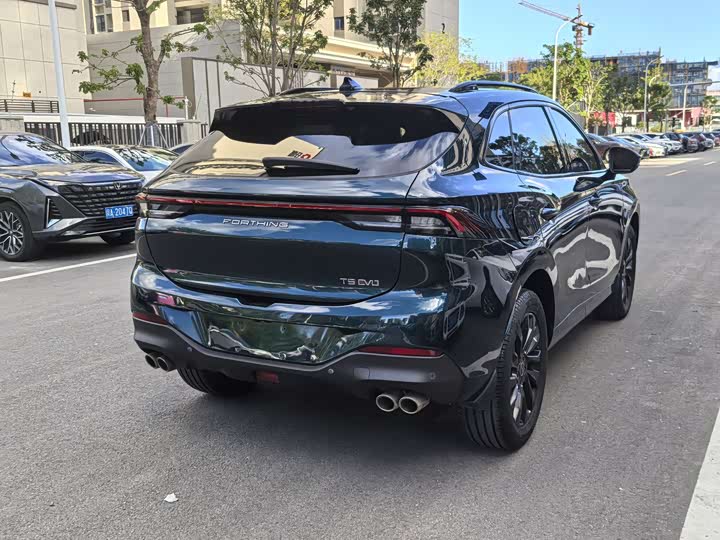 Фото 11 - Dongfeng Forthing T5 EVO