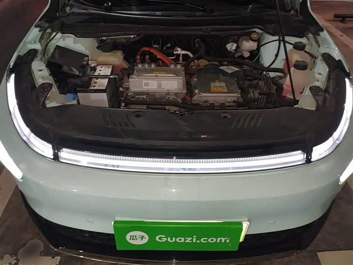 Фото 11 - XPeng G3