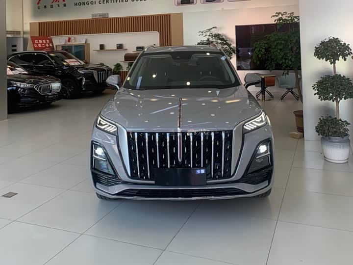 Фото 2 - Hongqi HS5