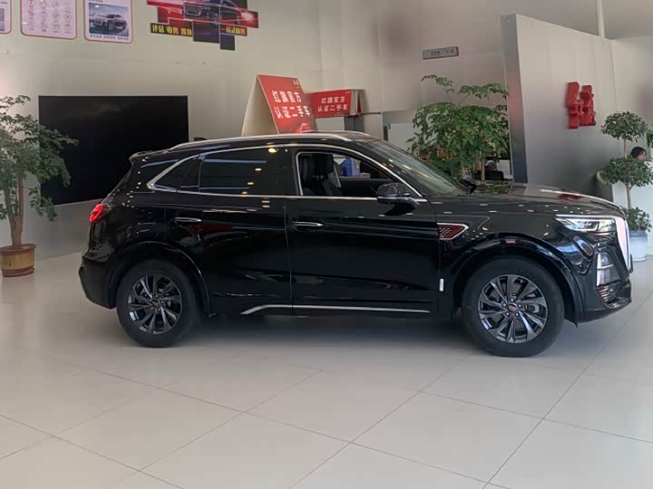 Фото 3 - Hongqi HS5