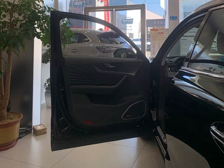 Фото 8 - Hongqi HS5