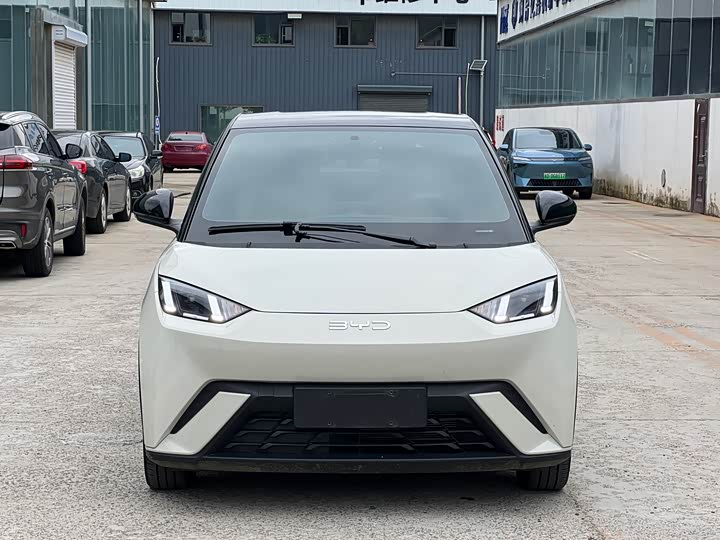 Фото 2 - BYD Seagull