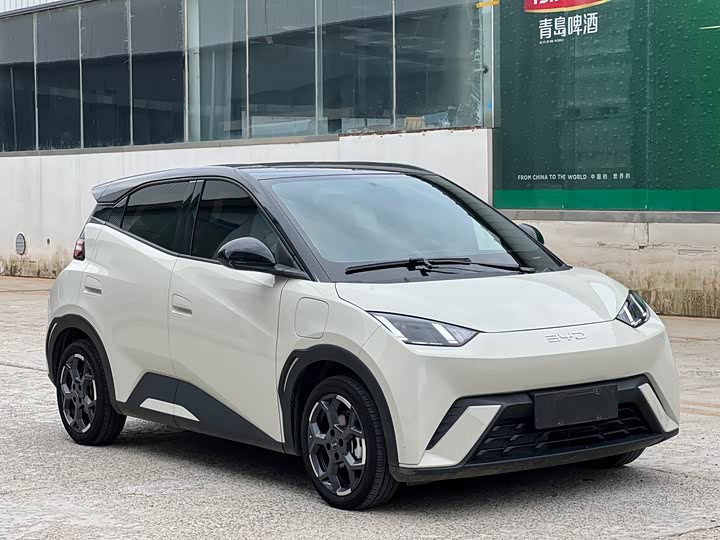 Фото 3 - BYD Seagull