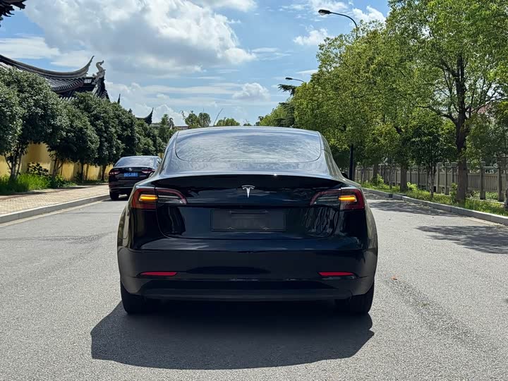 Фото 5 - Tesla Model 3