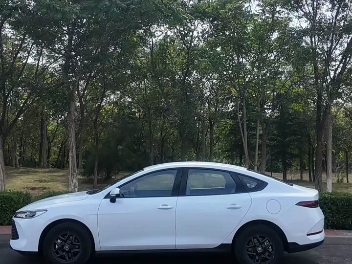 Фото 6 - BYD Qin Plus