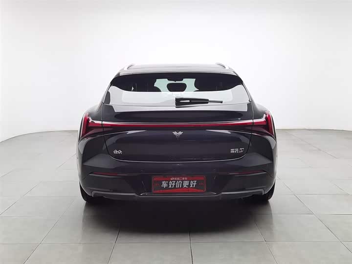 Фото 4 - Hozon S Hunting