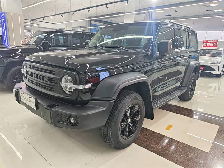 Фото 1 - Tank 300