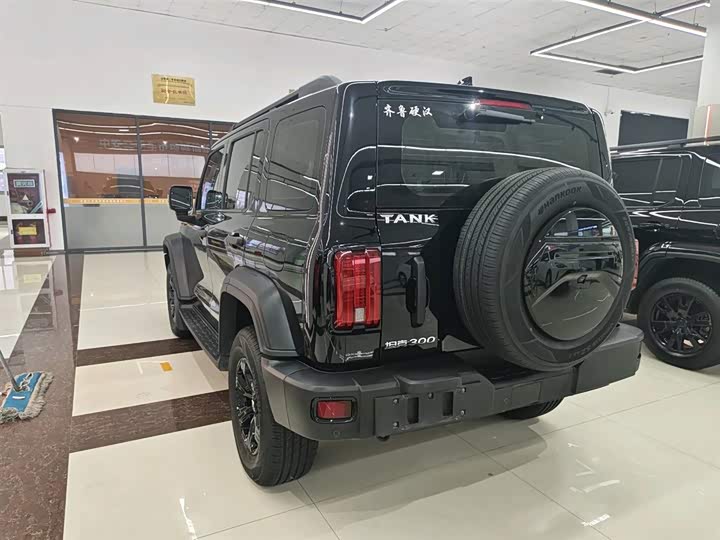 Фото 10 - Tank 300