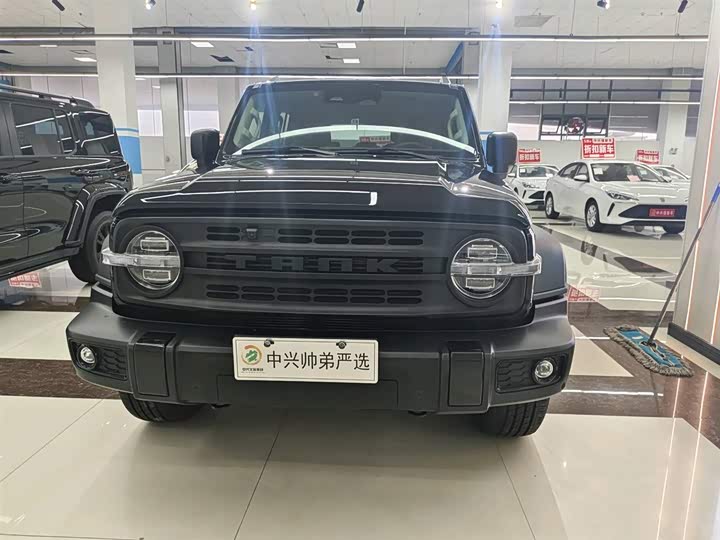 Фото 3 - Tank 300