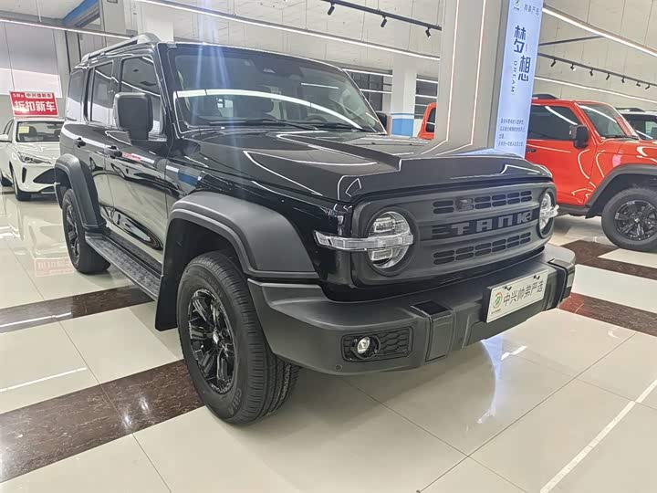 Фото 4 - Tank 300