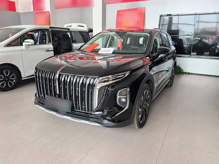 Фото 1 - Hongqi HS7 Hybrid