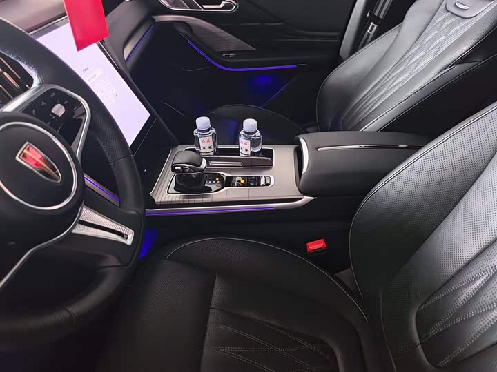 Фото 6 - Hongqi HS7 Hybrid