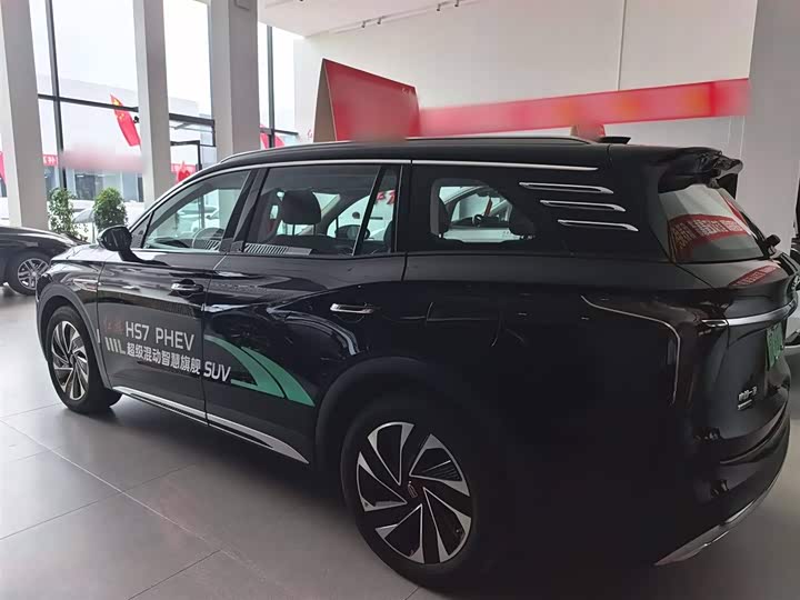 Фото 9 - Hongqi HS7 Hybrid