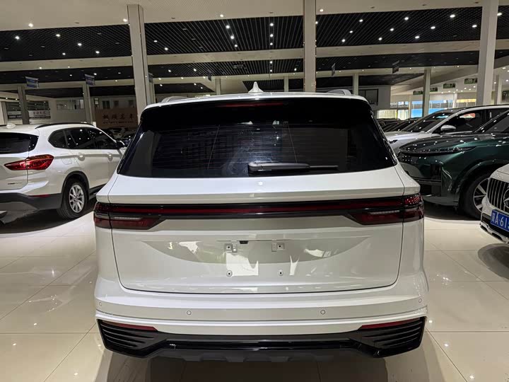 Фото 9 - Geely Monjaro