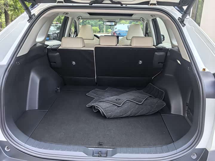 Фото 9 - Toyota Wildlander