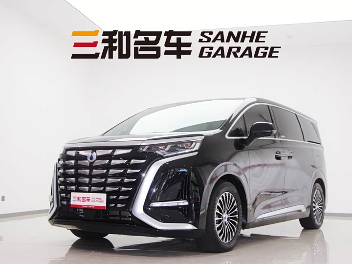 Фото 1 - Denza D9