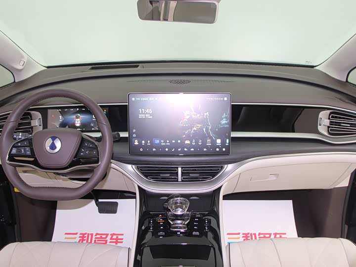 Фото 13 - Denza D9