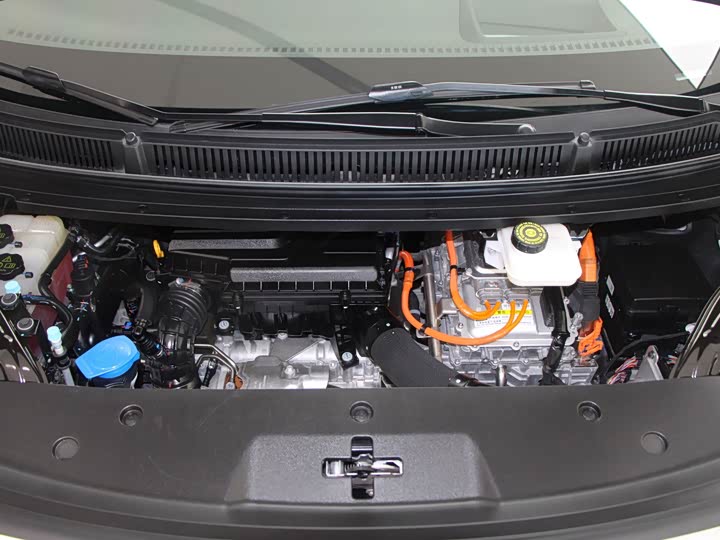 Фото 15 - Denza D9