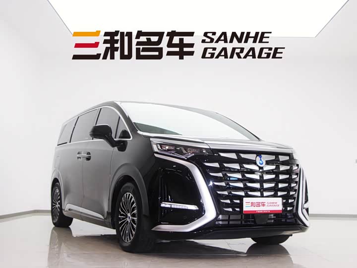 Фото 2 - Denza D9