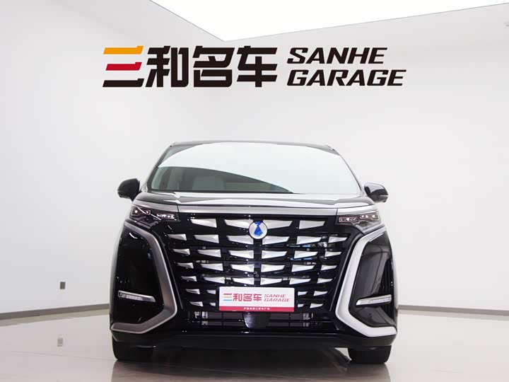 Фото 3 - Denza D9