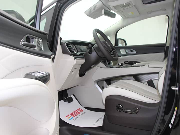 Фото 8 - Denza D9