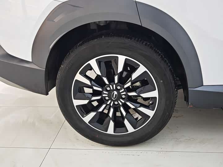 Фото 23 - GAC Trumpchi Emkoo