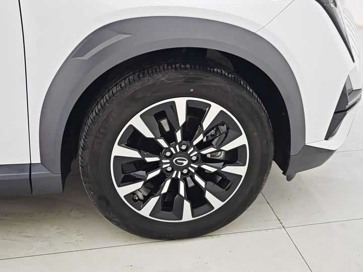 Фото 24 - GAC Trumpchi Emkoo