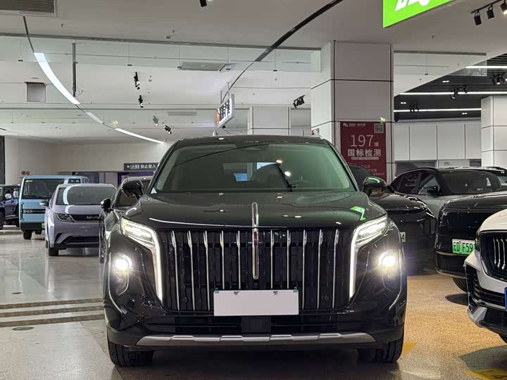 Фото 2 - Hongqi HS7 Hybrid