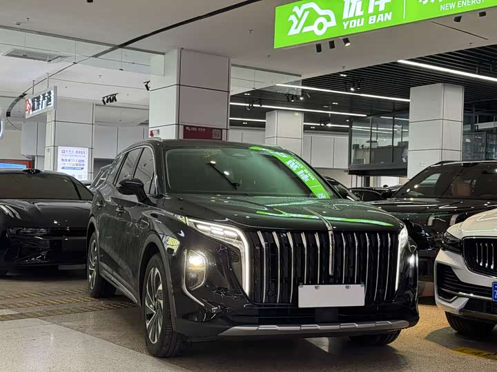 Фото 3 - Hongqi HS7 Hybrid