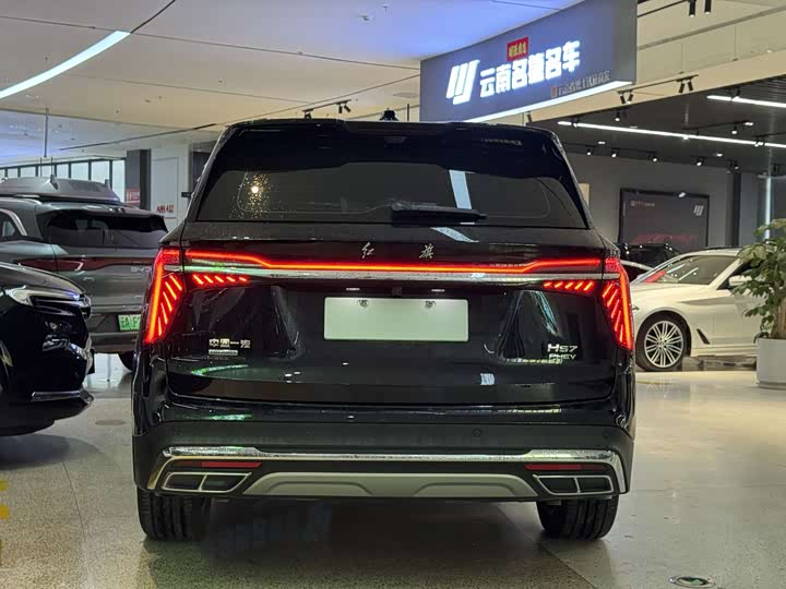 Фото 7 - Hongqi HS7 Hybrid