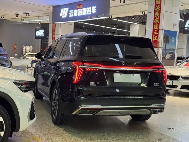 Фото 8 - Hongqi HS7 Hybrid
