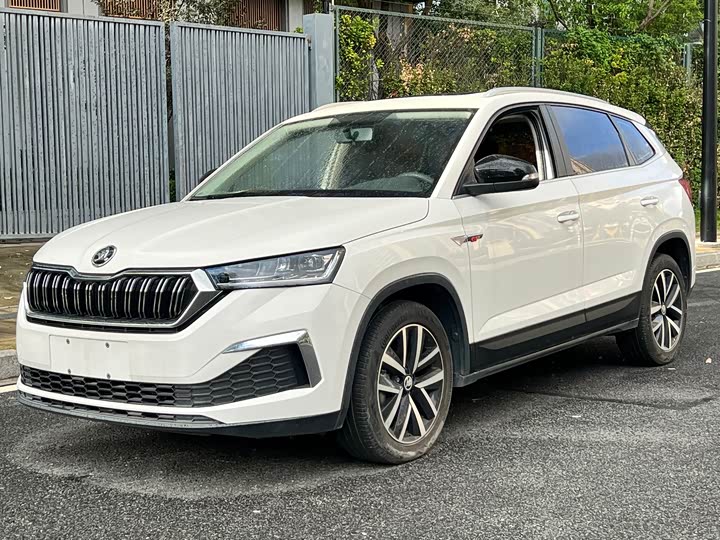 Фото 1 - Skoda Kamiq