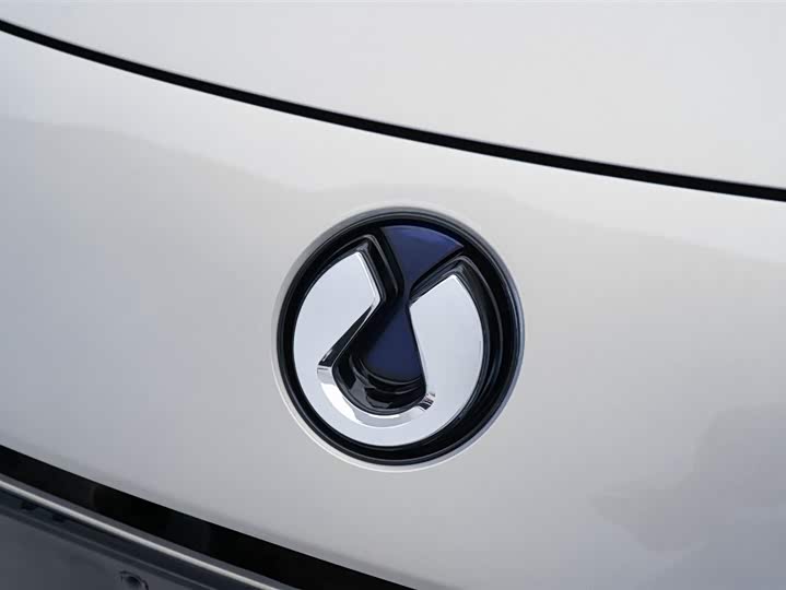 Фото 10 - Denza Z9GT