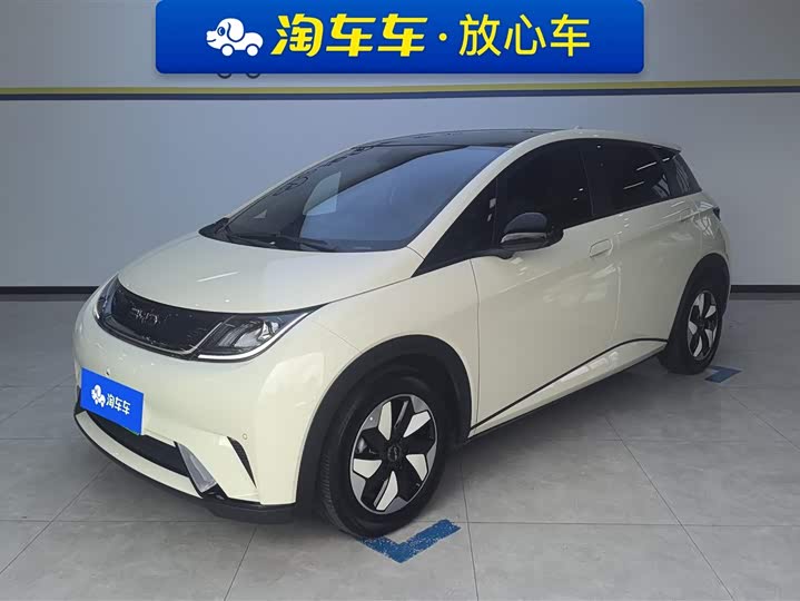 Фото 1 - BYD Dolphin