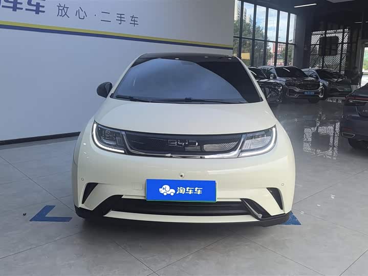 Фото 2 - BYD Dolphin