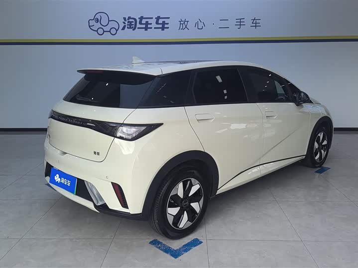 Фото 3 - BYD Dolphin