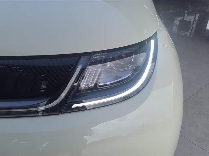 Фото 5 - BYD Dolphin