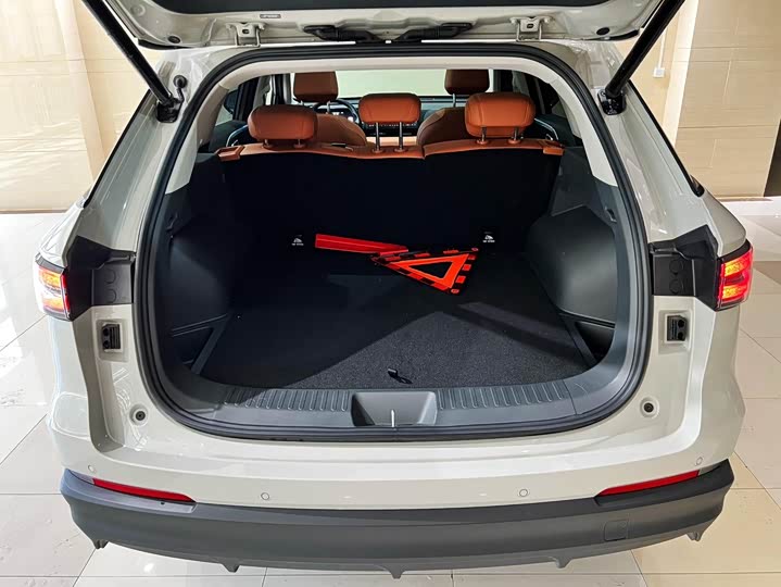 Фото 17 - Haval Ruge Max