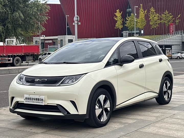 Фото 1 - BYD Dolphin