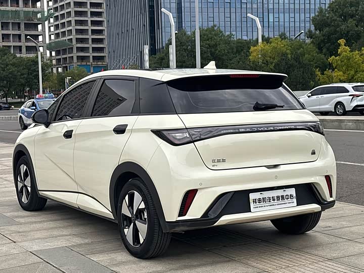 Фото 12 - BYD Dolphin