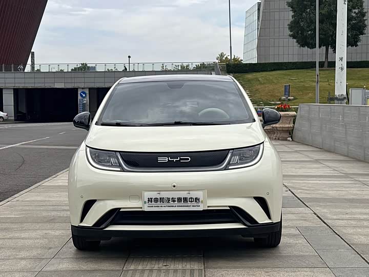 Фото 2 - BYD Dolphin