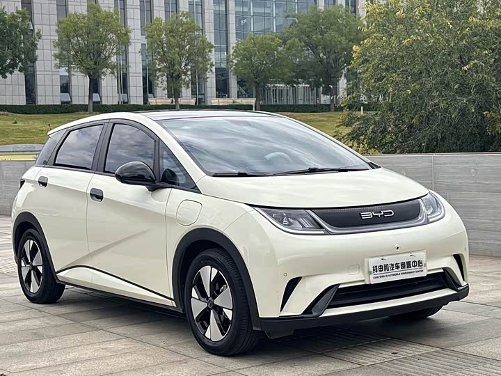 Фото 3 - BYD Dolphin