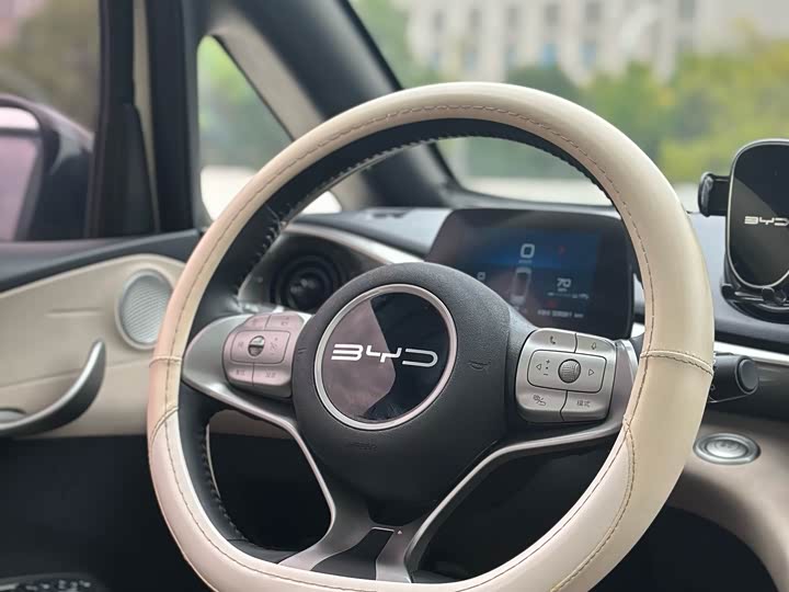 Фото 8 - BYD Dolphin