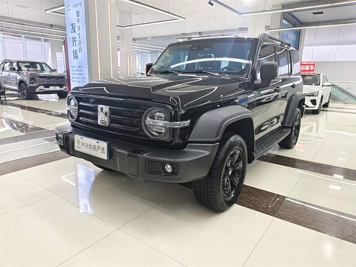 Фото 1 - Tank 300