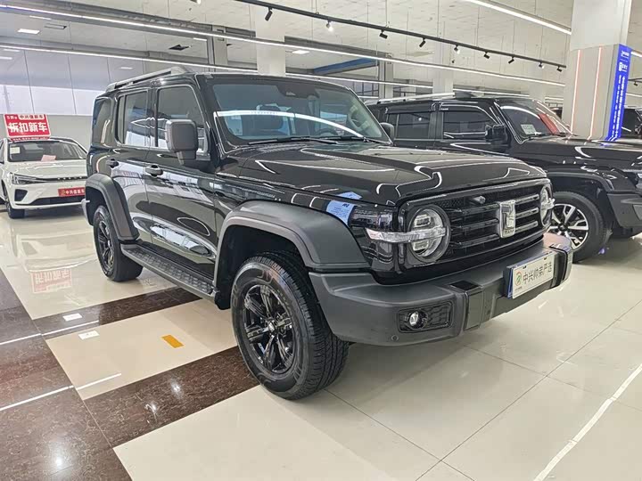 Фото 4 - Tank 300