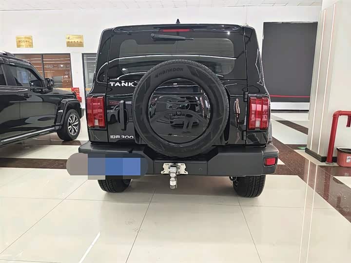 Фото 9 - Tank 300