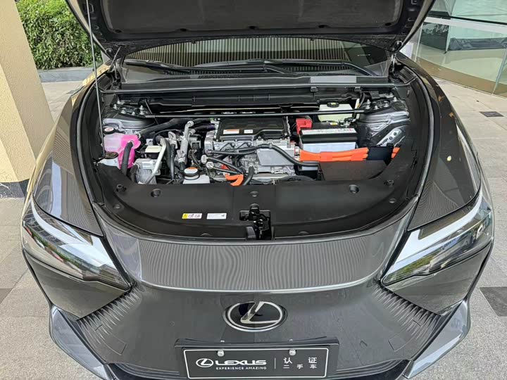 Фото 4 - Lexus RZ
